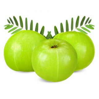 AMLA (ARVF503)