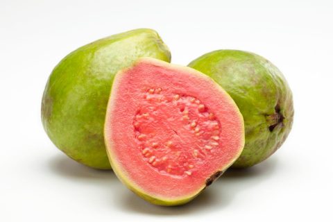 GUAVA (ARVF505)