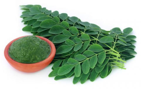 MORINGA LEAVES (ARVF502)